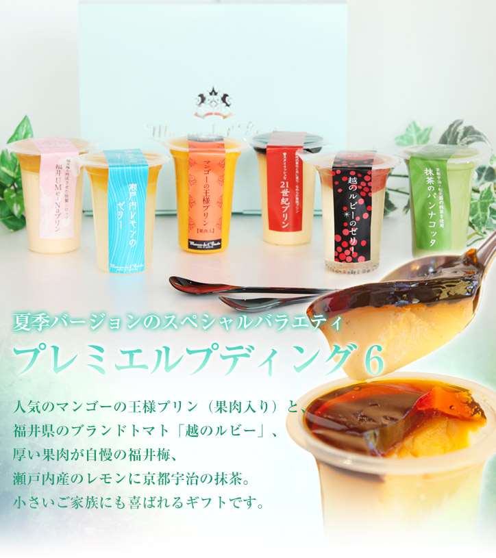 プレミエルプディング6