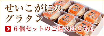 6個セット